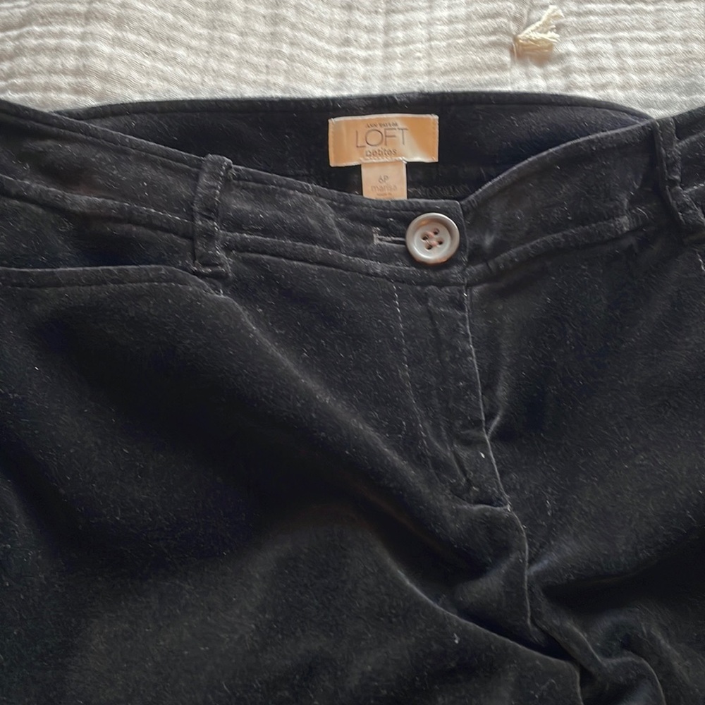 Ann Taylor Loft petite size 6 black velvet pants